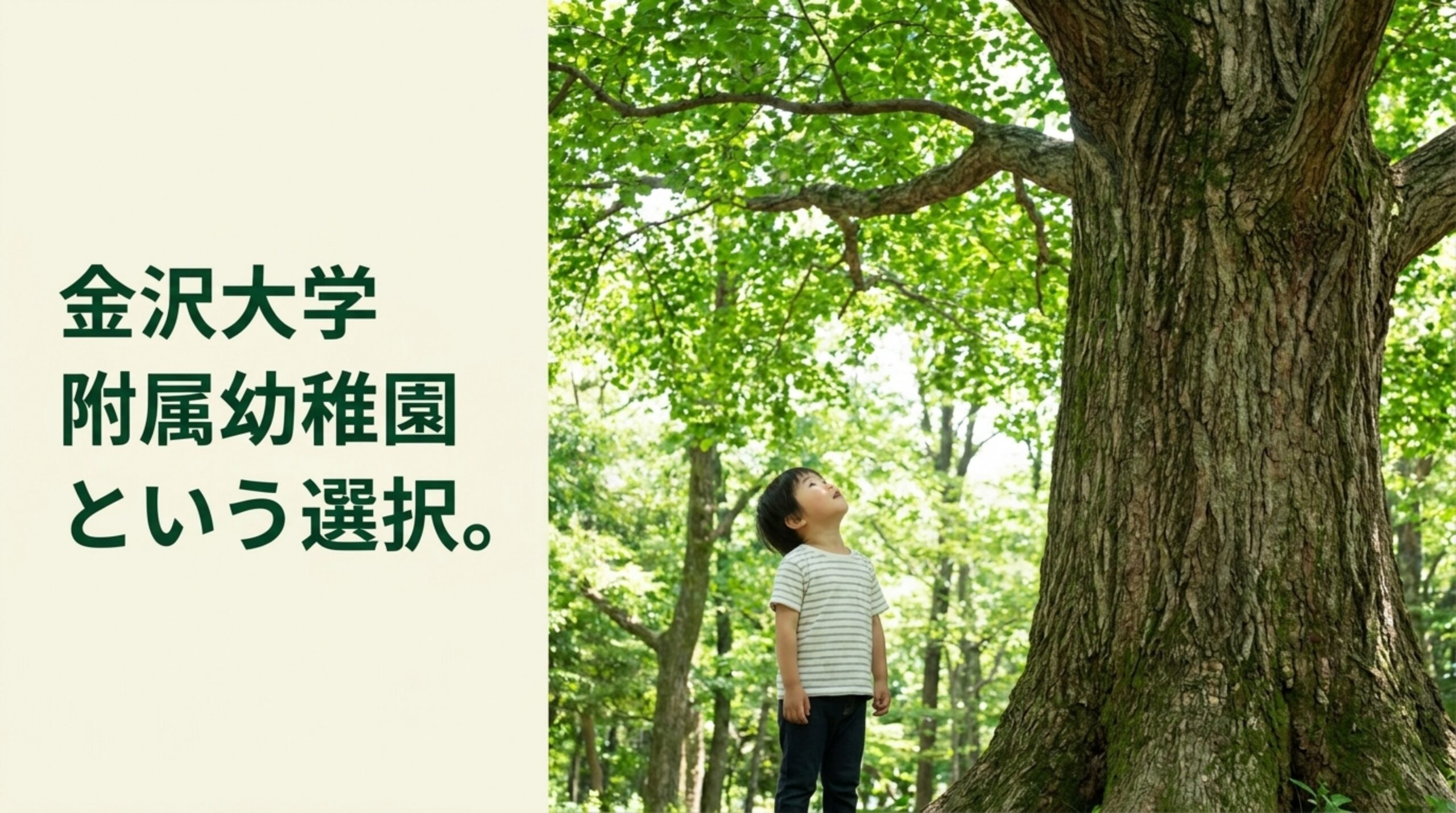 金沢大学附属幼稚園の概要スライド