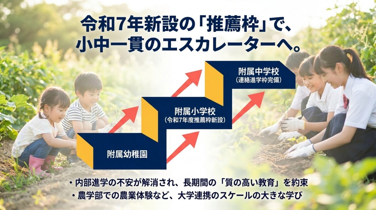 鳥取大学附属幼稚園 推薦枠 小中一貫